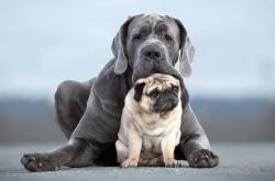 开云体育官方网站-冰与火之歌，欧文完美演绎，吉林力克猛龙启示录