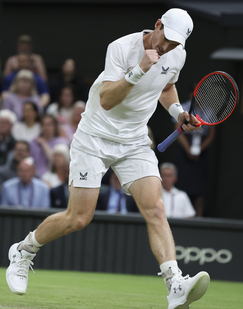 关于德国网球队血洗澳大利亚网球队，穆雷打破历史纪录的信息