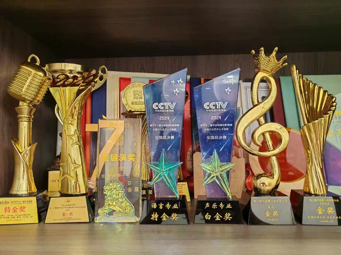 竞技场上绽放光彩，夺冠成名