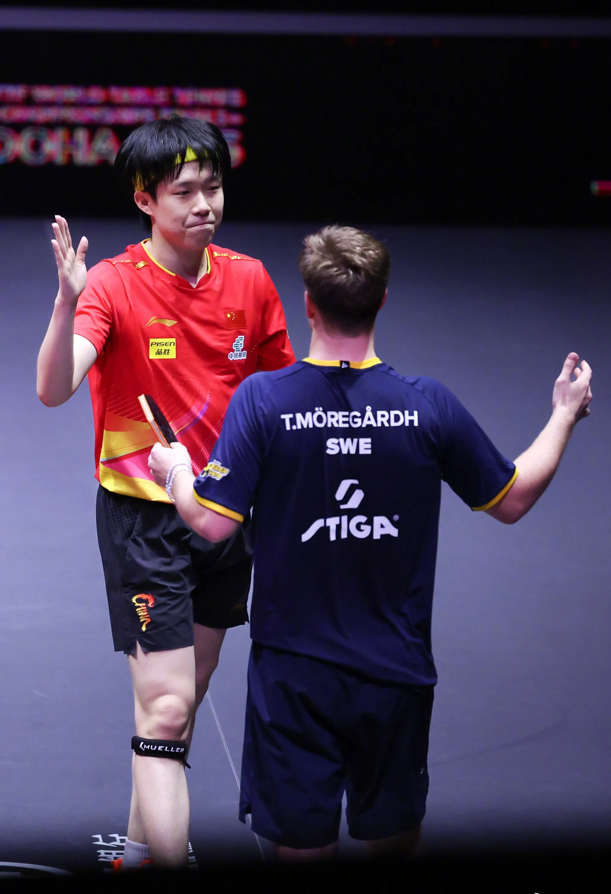 波兰队力克法国队，林高远惊艳四座的简单介绍