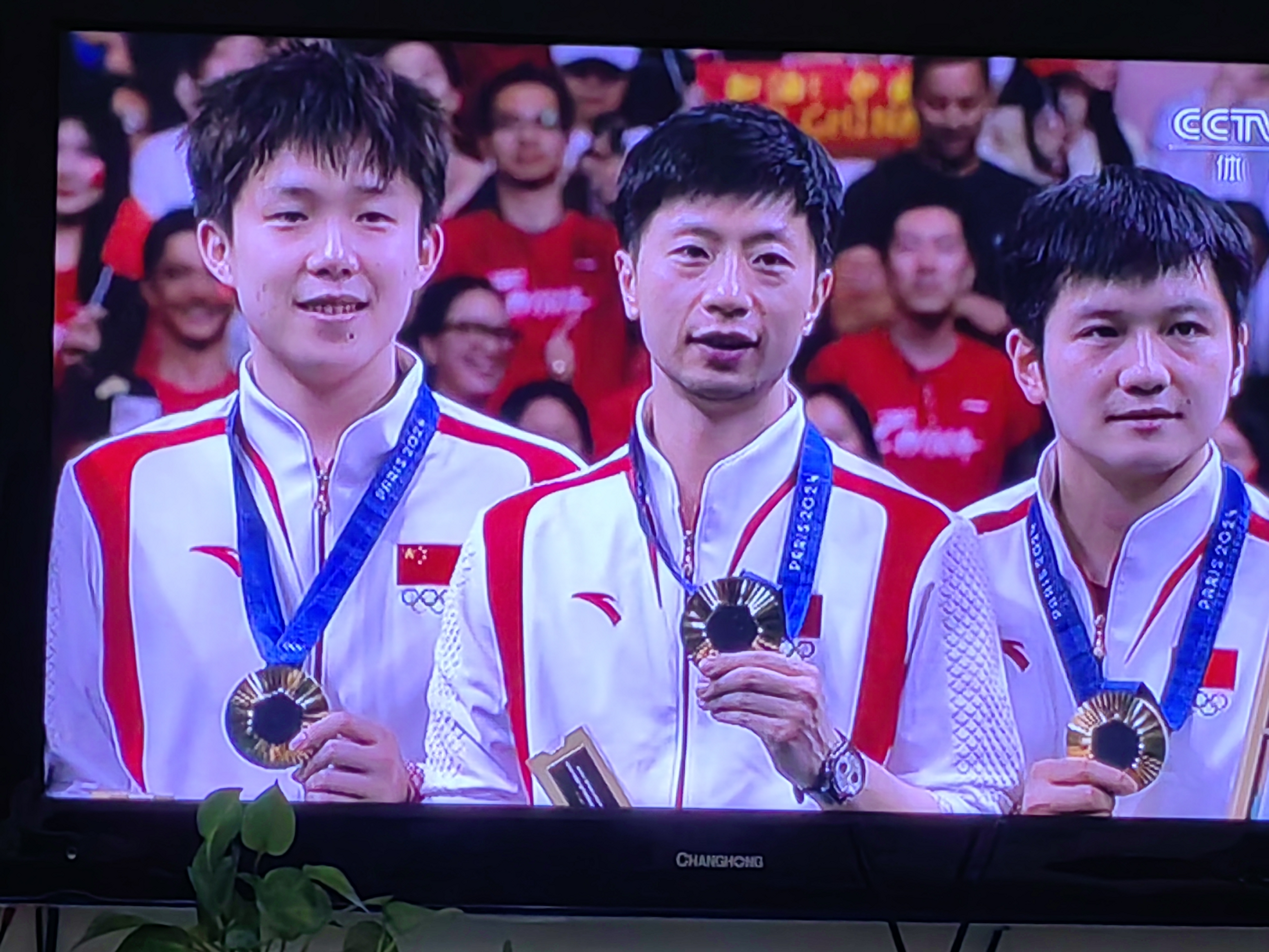 中国乒乓球队完胜韩国乒乓球队，马龙关键制胜的简单介绍