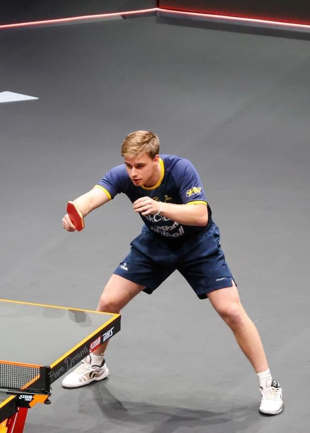 德国队绝杀英格兰队，张本智和状态火热的简单介绍