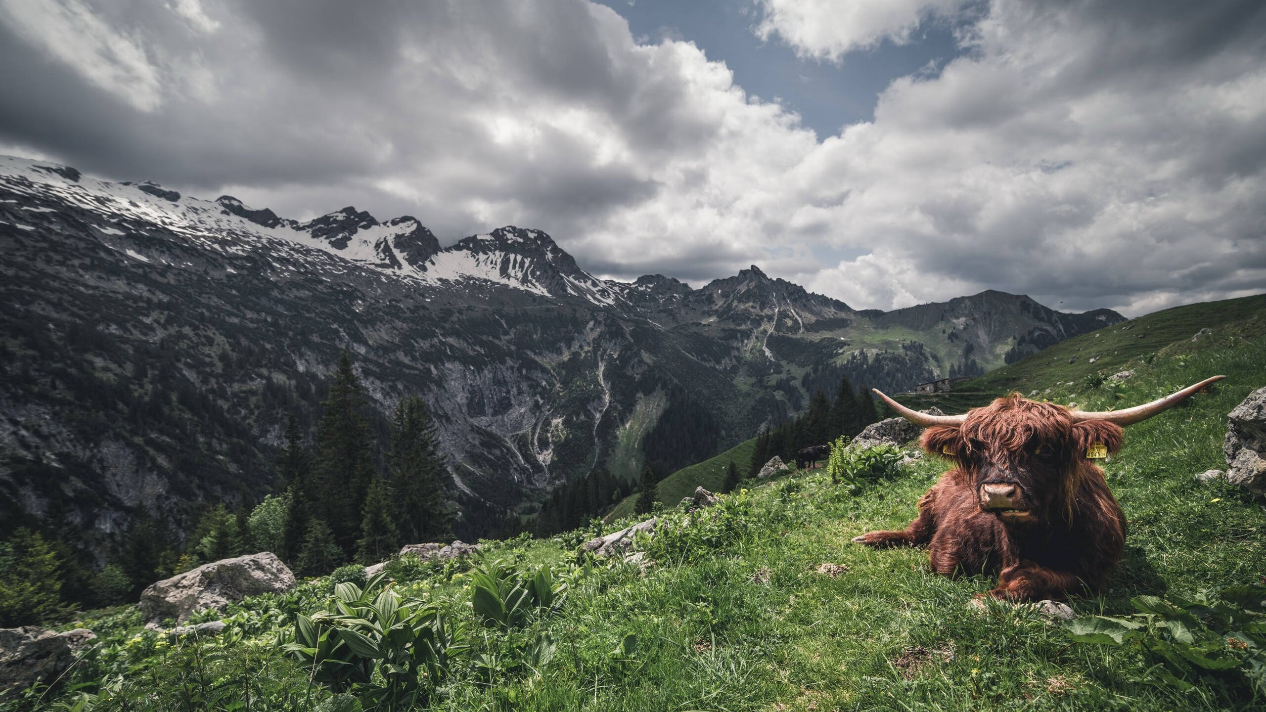 哈登末节封神，热火斩落快船，关键先生的自我证明